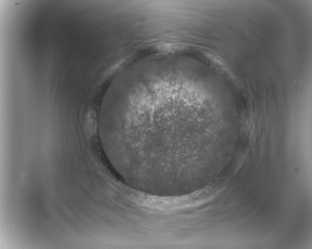 X0000071810043200607072129