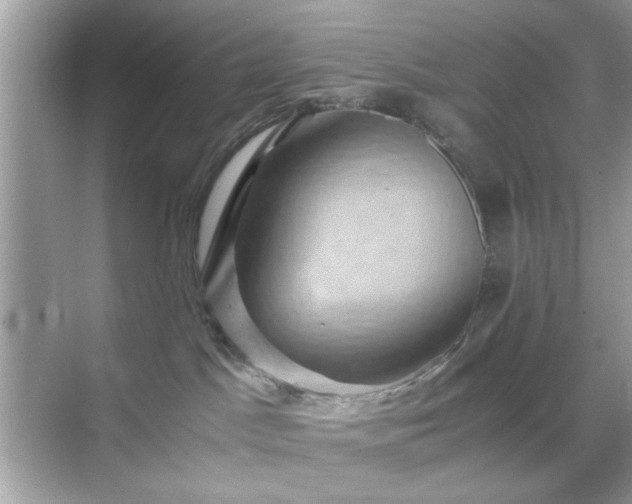 X0000071810045200607072129