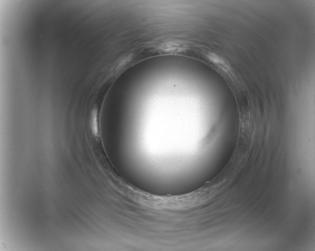 X0000071810046200607072129