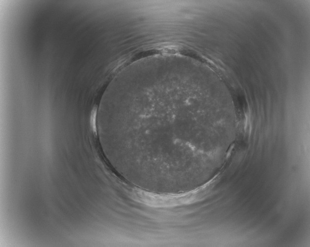 X0000071810047200607072129