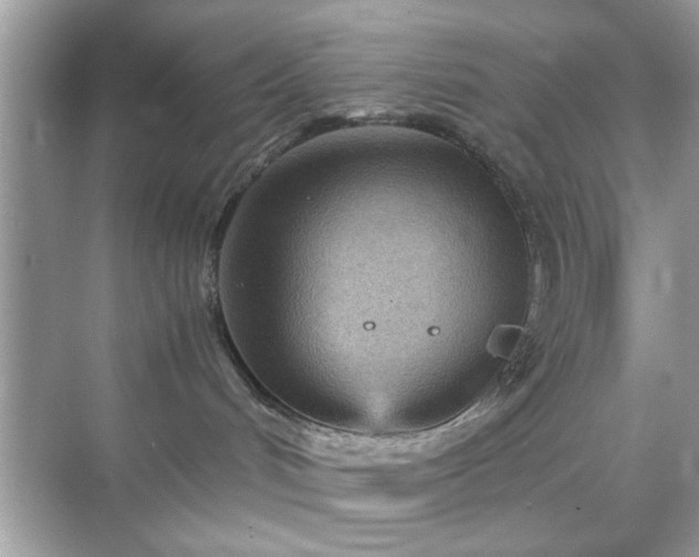 X0000071810048200607072129