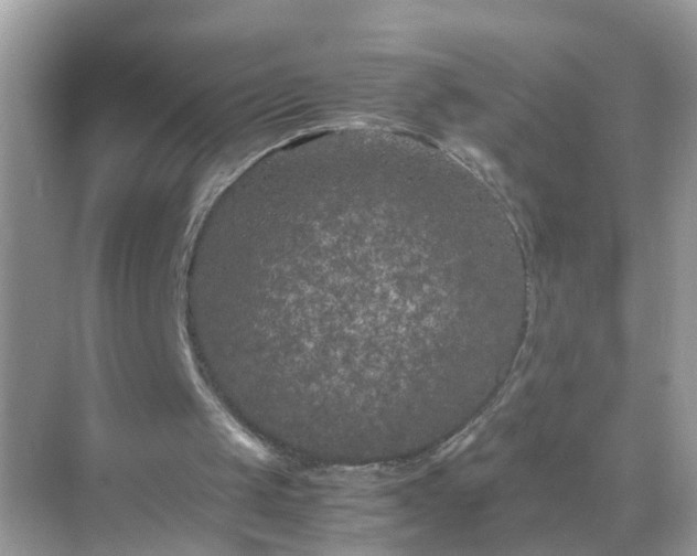 X0000071810049200607072128