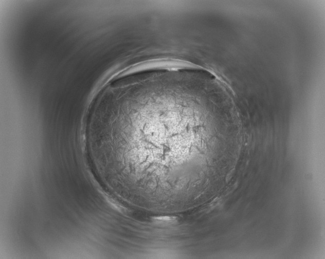 X0000071810053200607072128