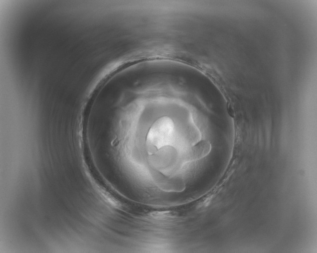 X0000071810054200607072128