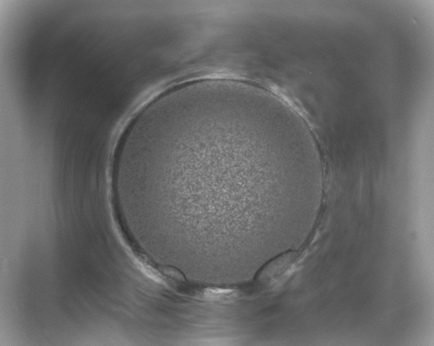 X0000071810055200607072128