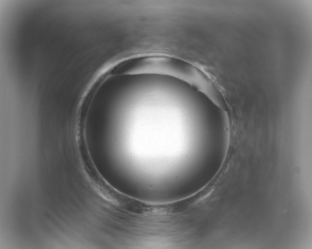 X0000071810056200607072128