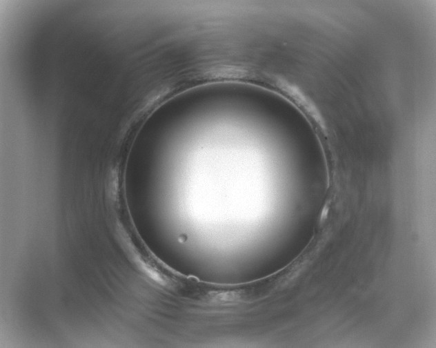 X0000071810057200607072128