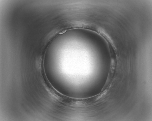 X0000071810058200607072128