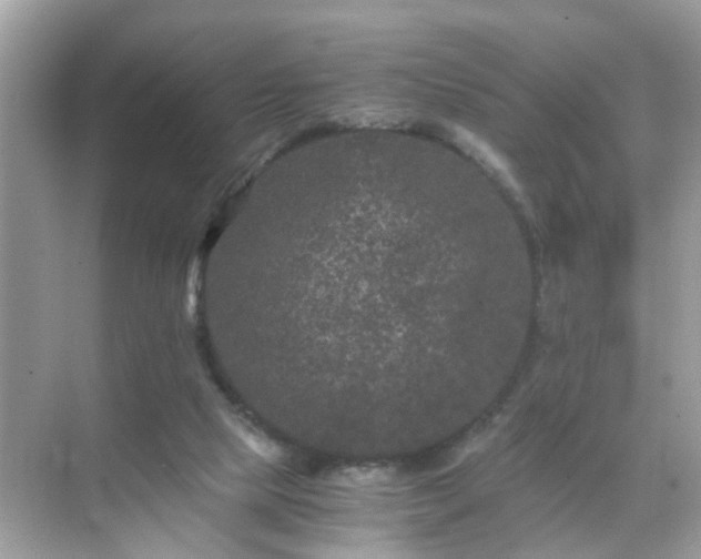 X0000071810065200607072128