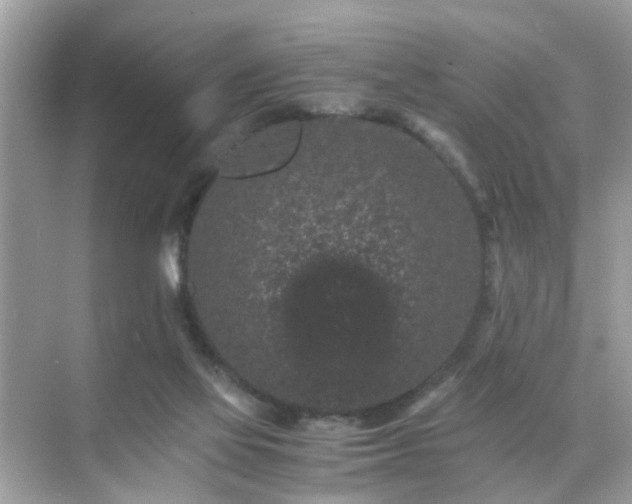 X0000071810069200607072128