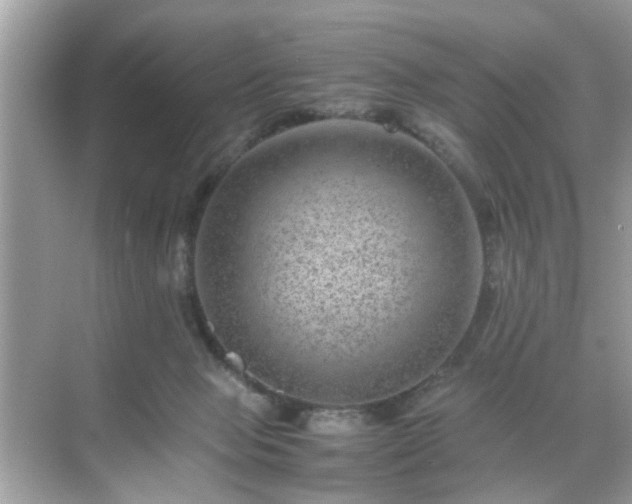 X0000071810077200607072128