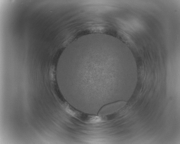 X0000071810083200607072128