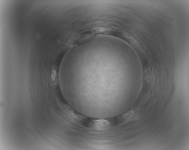 X0000071810087200607072128