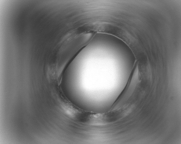 X0000071810092200607072128