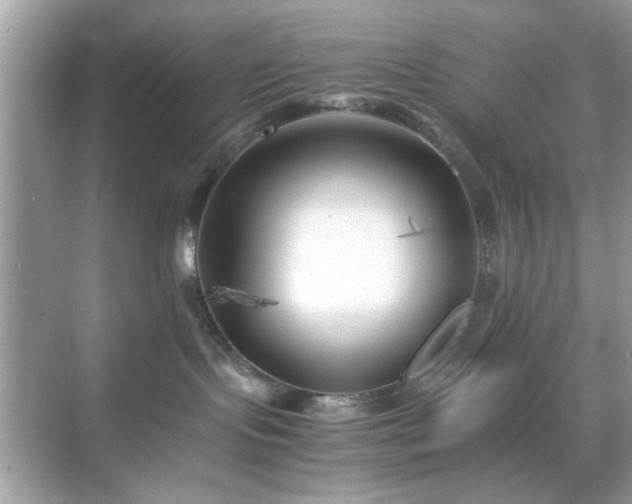 X0000071810095200607072128