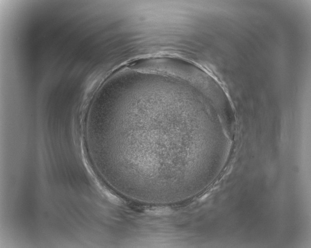 X0000071810097200607072128