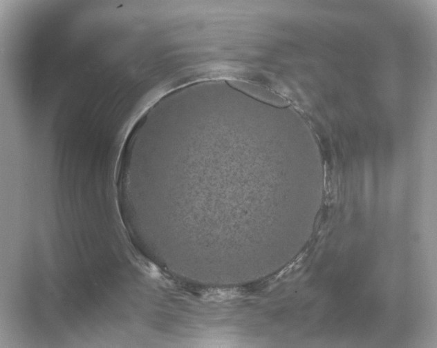 X0000071810099200607072128