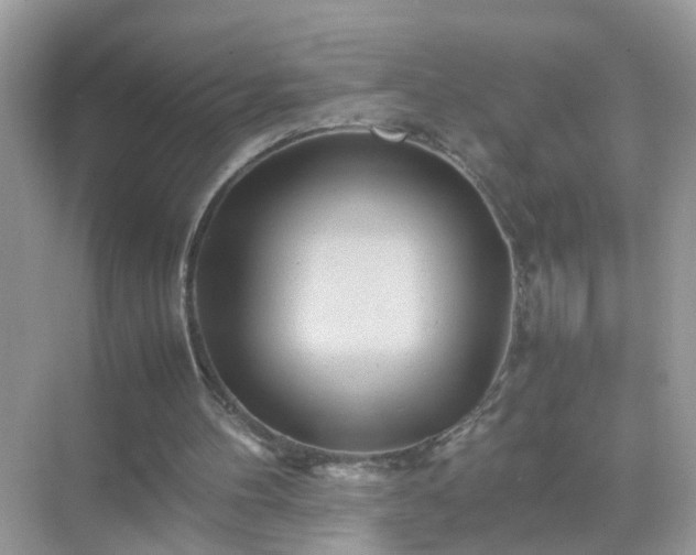 X0000071810100200607072128