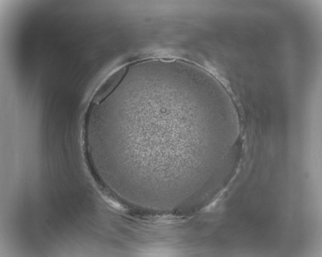 X0000071810103200607072128