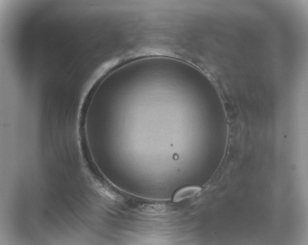 X0000071810104200607072128