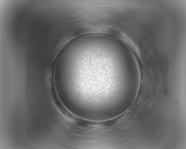 X0000071810107200607072128