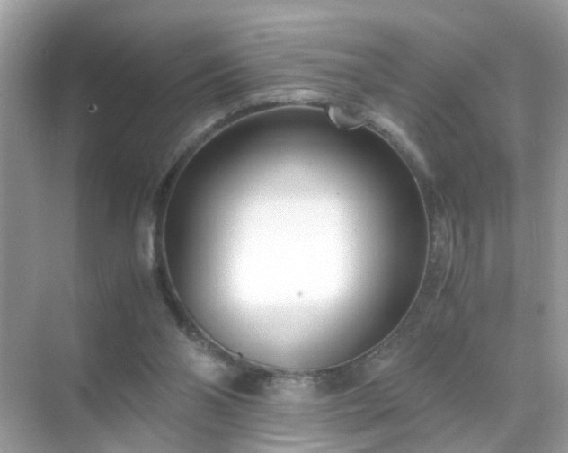 X0000071810110200607072127