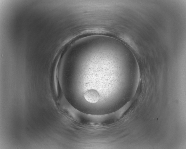 X0000071810111200607072127