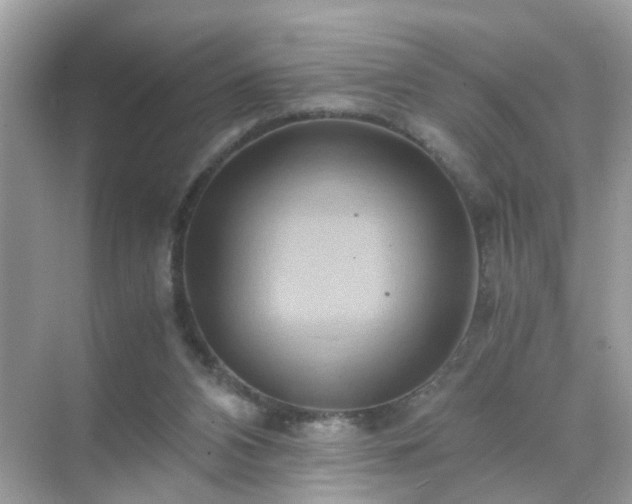 X0000071810112200607072127