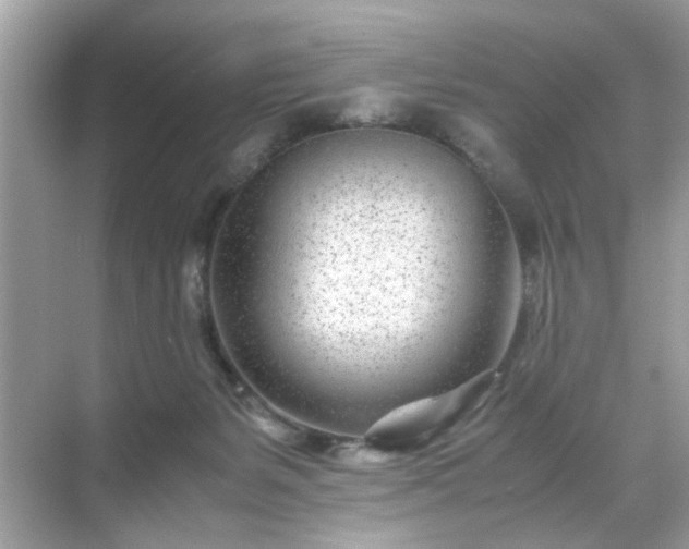 X0000071810127200607072127