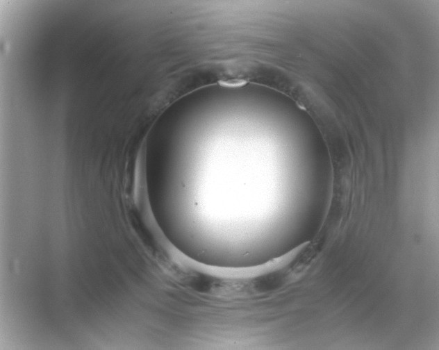 X0000071810129200607072127