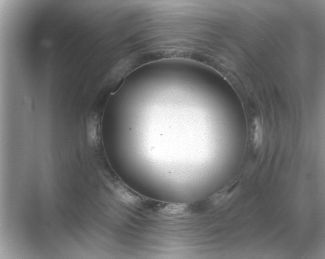 X0000071810138200607072127