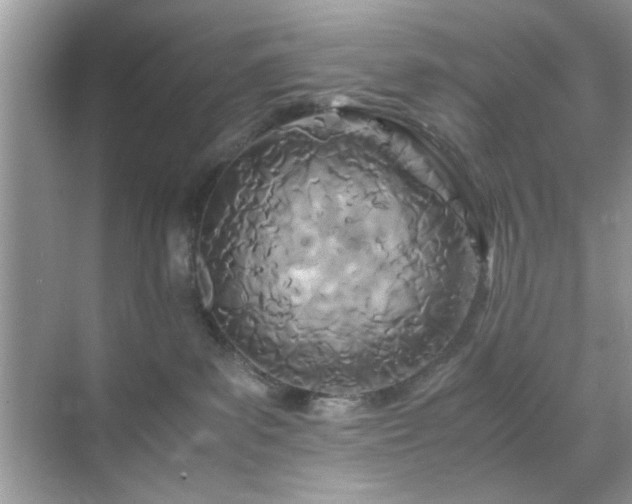 X0000071810139200607072127