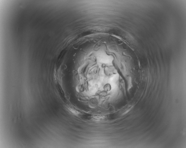 X0000071810143200607072127