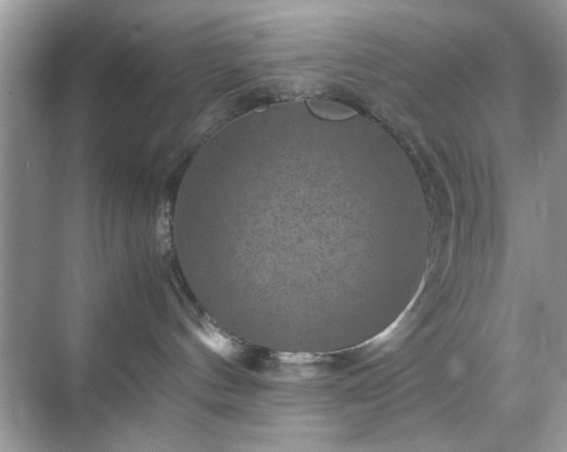 X0000071810144200607072127