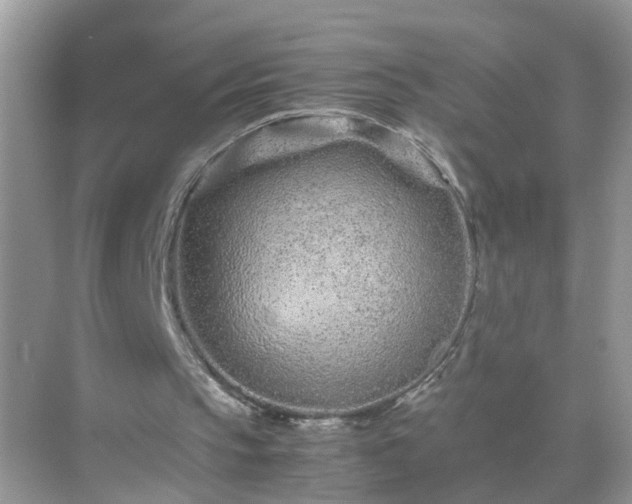 X0000071810145200607072126