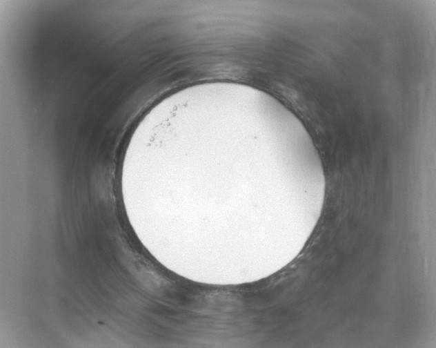 X0000071810146200607072126