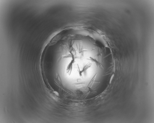 X0000071810147200607072126