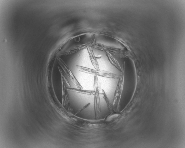 X0000071810149200607072126