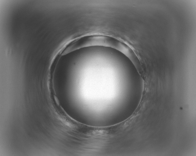 X0000071810152200607072126