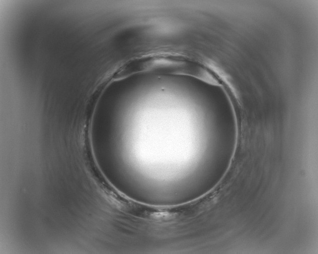 X0000071810153200607072126