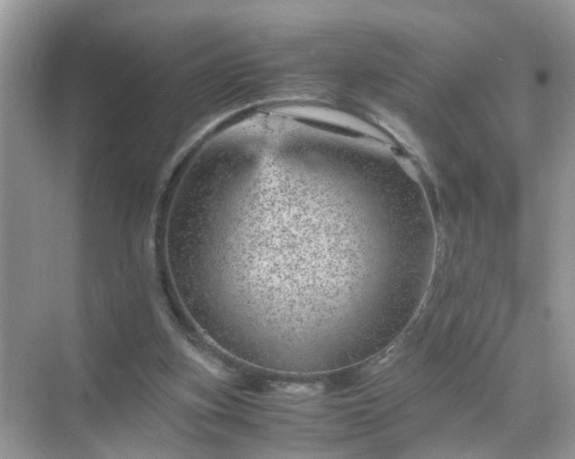 X0000071810155200607072126