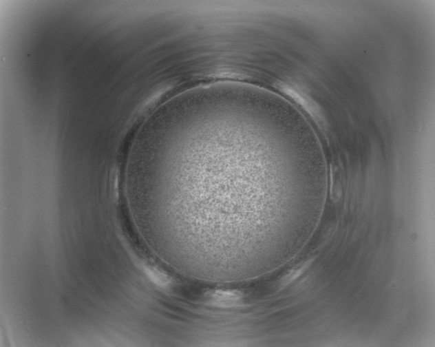 X0000071810157200607072126