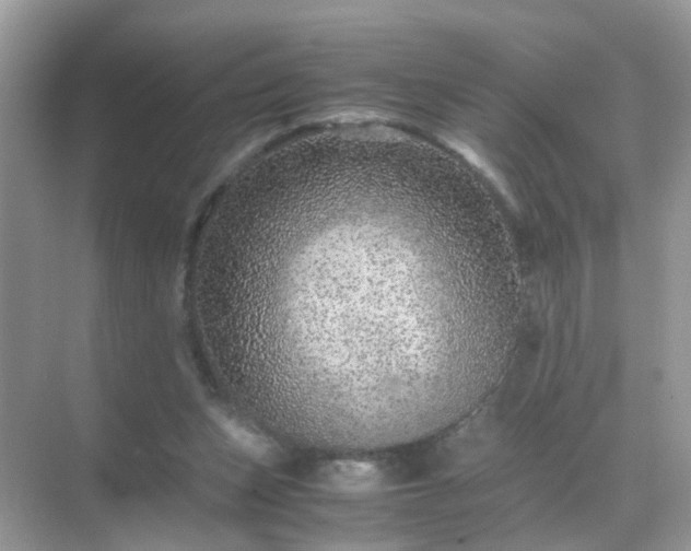 X0000071810159200607072126