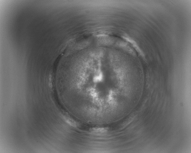 X0000071810161200607072126