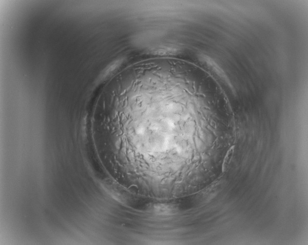 X0000071810163200607072126