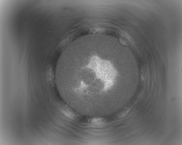 X0000071810173200607072127