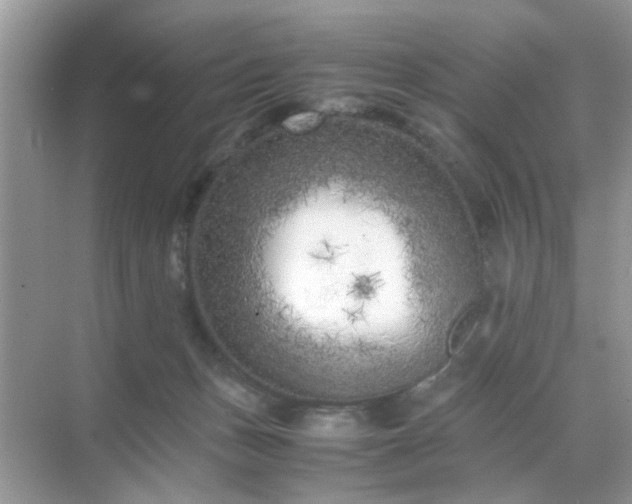 X0000071810175200607072127