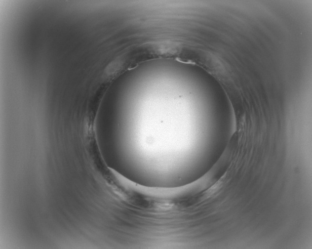 X0000071810176200607072127