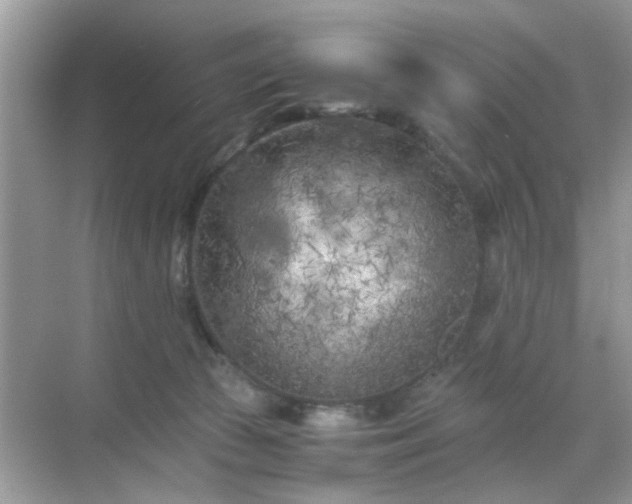 X0000071810177200607072127