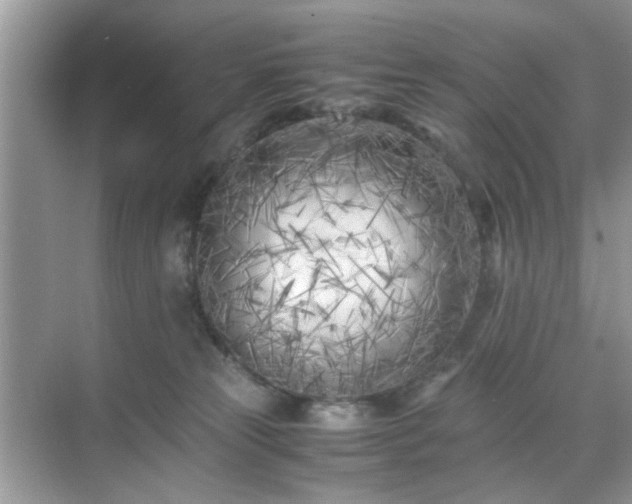 X0000071810181200607072127